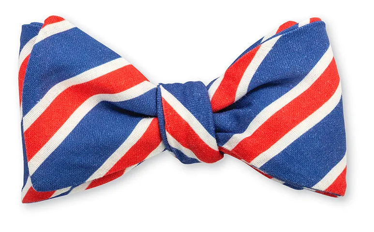 Blue/Coral Clearwood Stripes Bow Tie - B5273