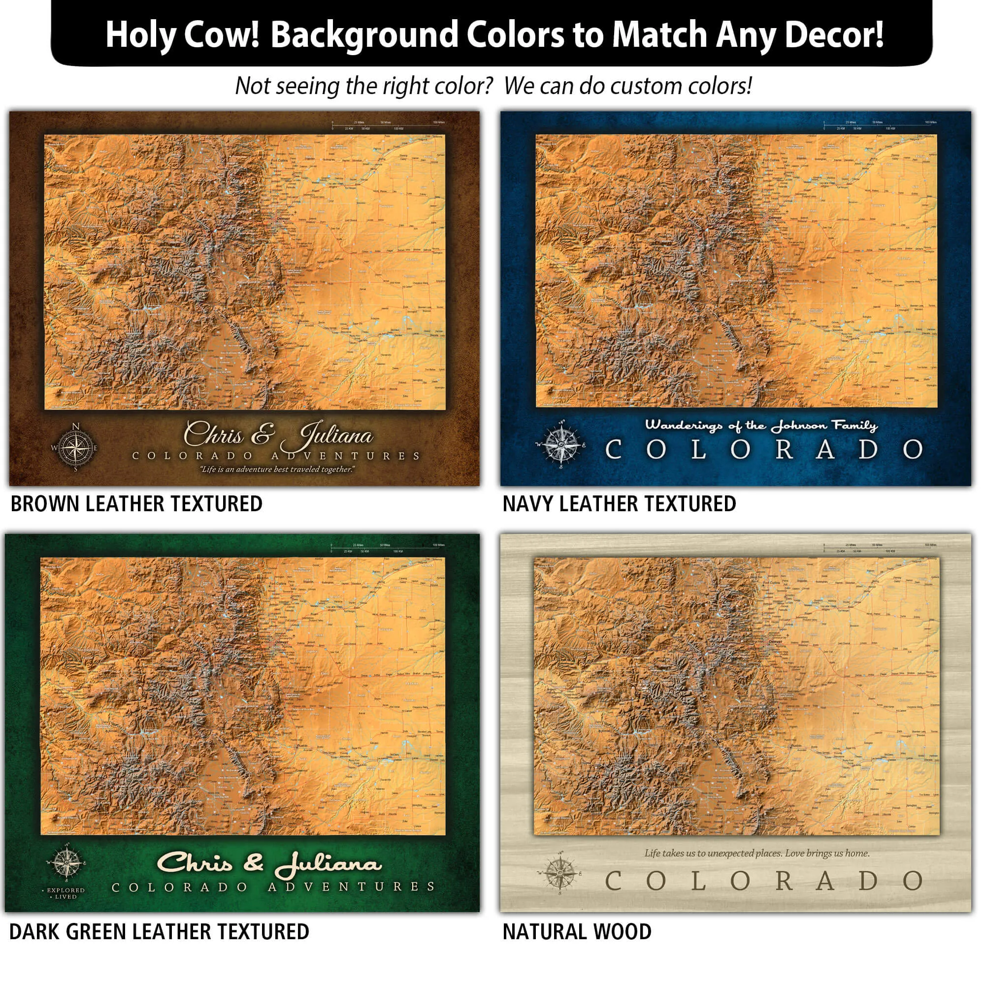 Colorado Push Pin Terrain Map